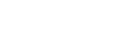 Desarrollo de Portfolio Análisis de demanda y oportunidades. Planificación estratégica de portfolio. Creación y gestión de portfolio de ofertas con productos, servicios y soluciones. Coherencia. Diferenciales competitivos. Diseño de ofertas. Piezas de comunicación y entregables. Conceptualizacion y tangibilización. Documentos de arquitectura y de solución. Ejercicios de pricing. Procesos y sistemas de gestión de portfolio. Branding. Estrategias de promoción. Presentación durante la venta. 